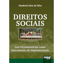 DIREITOS SOCIAIS - LEIS ORÇAMENTÁRIAS COMO INSTRUMENTO DE IMPLEMENTAÇÃO