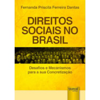 DIREITOS SOCIAIS NO BRASIL - DESAFIOS E MECANISMOS PARA A SUA CONCRETIZAÇÃO