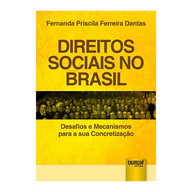 DIREITOS SOCIAIS NO BRASIL - DESAFIOS E MECANISMOS PARA A SUA CONCRETIZAÇÃO