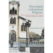 Diversidade e identidade religiosa: uma leitura espacial dos padroeiros e seus festejos em Muquém, Abadiânia e Trindade-GO