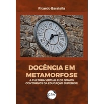 DOCÊNCIA EM METAMORFOSE: A CULTURA VIRTUAL E OS NOVOS CONTORNOS DA EDUCAÇÃO SUPERIOR