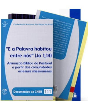 Documentos da CNBB 111: e a palavra habitou entre nós (jo 1,14)