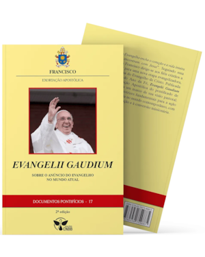 Documentos pontificios 17 - 2ª edição: exortação apostólica evangelii gaudium