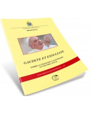 Documentos pontificios 33: sobre o chamado a santidade no mundo atu