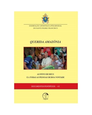 Documentos pontificios 43: querida amazonia - exortacao apostolica