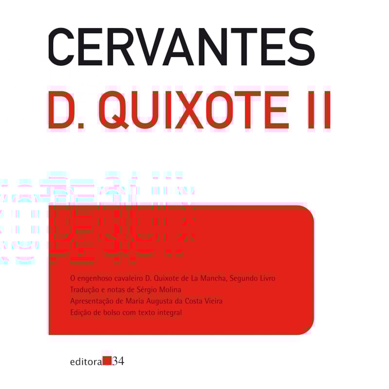 Dom Quixote II