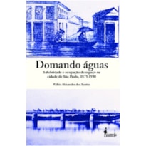 Domando águas: salubridade e ocupação do espaço na cidade de São Paulo, 1875-1930