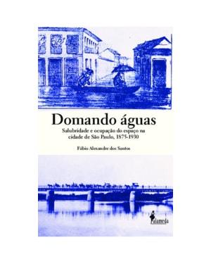 Domando águas: salubridade e ocupação do espaço na cidade de São Paulo, 1875-1930
