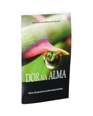 DOR NA ALMA: NOVA TRADUÇÃO NA LINGUAGEM DE HOJE (NTLH)
