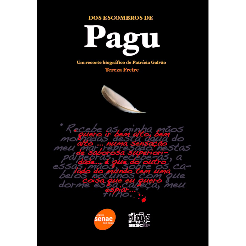 DOS ESCOMBROS DE PAGU