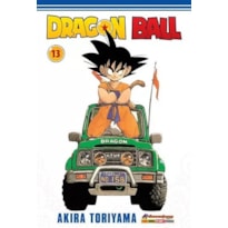 Dragon ball vol. 13