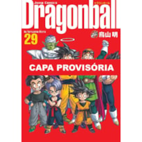 Dragon ball vol. 29 - edição definitiva (capa dura)