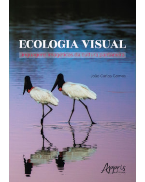 ECOLOGIA VISUAL: LINGUAGENS IMAGÉTICAS DA CULTURA PANTANEIRA
