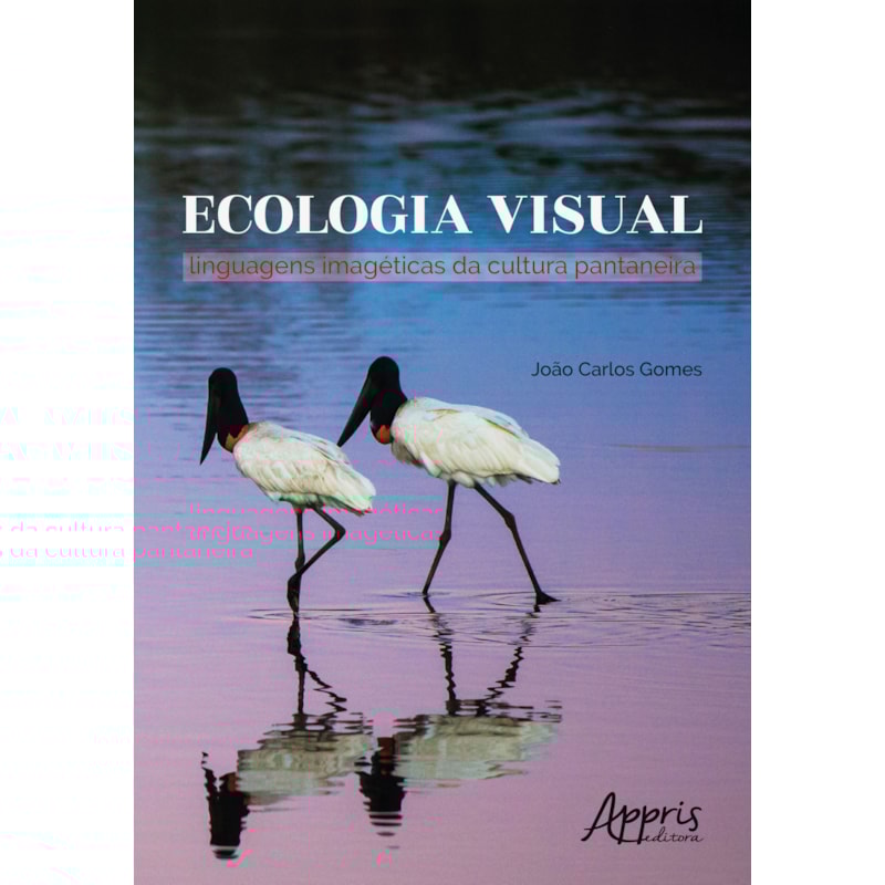 ECOLOGIA VISUAL: LINGUAGENS IMAGÉTICAS DA CULTURA PANTANEIRA