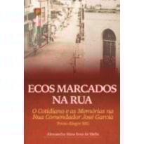 Ecos marcados na rua: o cotidiano e as memórias na rua Comendador José Garcia - Pouso Alegre-MG