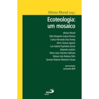 Ecoteologia: um mosaico