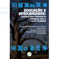 EDUCAÇÃO E AFRICANIDADE: PROPOSTAS PRÁTICAS E DIDÁTICAS PARA A FORMAÇÃO DE PROFESSORES SOBRE A LEI 10.639/2003