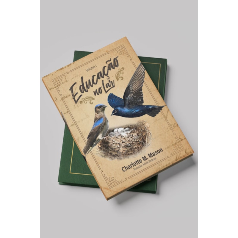 EDUCAÇÃO NO LAR - VOL 1. (SÉRIE EDUCAÇÃO NO LAR)