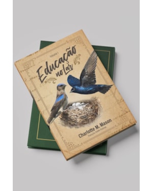 EDUCAÇÃO NO LAR - VOL 1. (SÉRIE EDUCAÇÃO NO LAR)