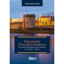 EDUCAÇÃO (TRANS)FORMADORA: JORNADA DE PROFESSORES SEM FRONTEIRAS EM LIMERICK - IRLANDA