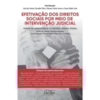 EFETIVAÇÃO DOS DIREITOS SOCIAIS POR MEIO DE INTERVENÇÃO JUDICIAL