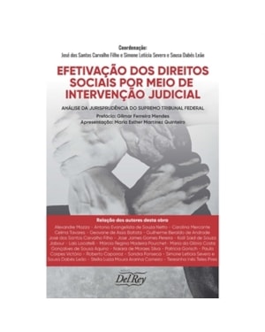 EFETIVAÇÃO DOS DIREITOS SOCIAIS POR MEIO DE INTERVENÇÃO JUDICIAL
