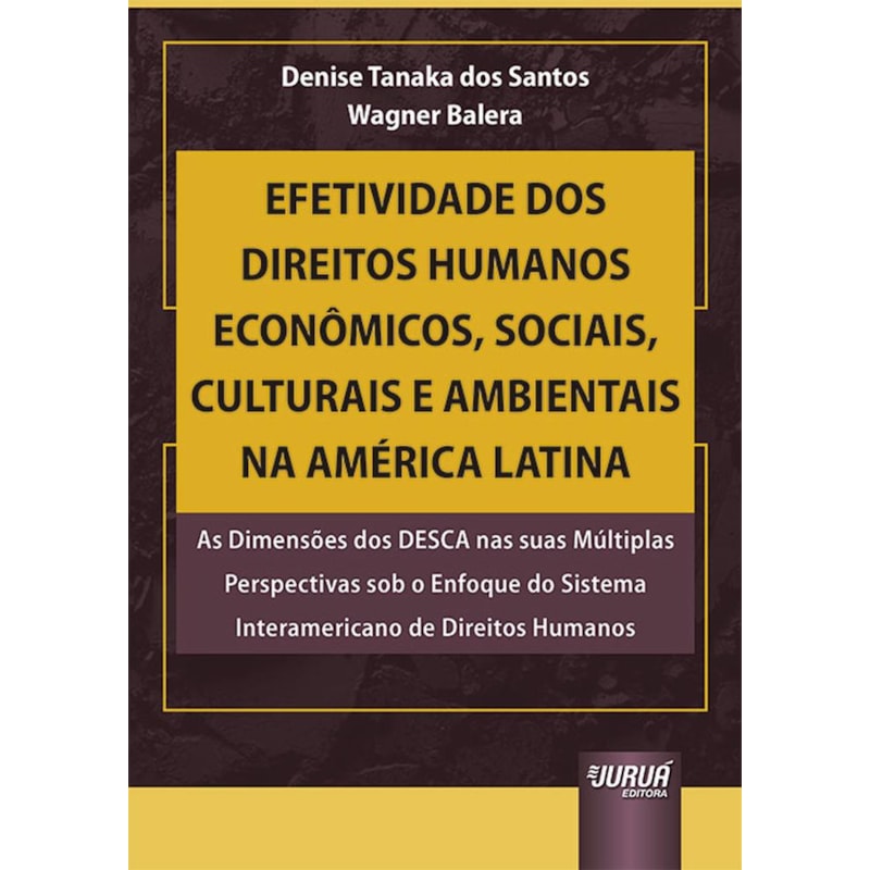 EFETIVIDADE DOS DIREITOS HUMANOS ECONÔMICOS, SOCIAIS, CULTURAIS E AMBIENTAIS NA AMÉRICA LATINA