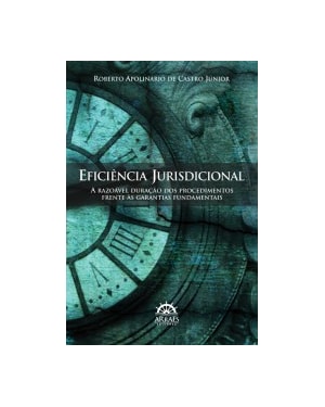 Eficiência jurisdicional: a razoável duração dos procedimentos frente às garantias fundamentais