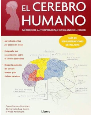 El cerebro humano: metodo de autoaprendizaje utilizando el color