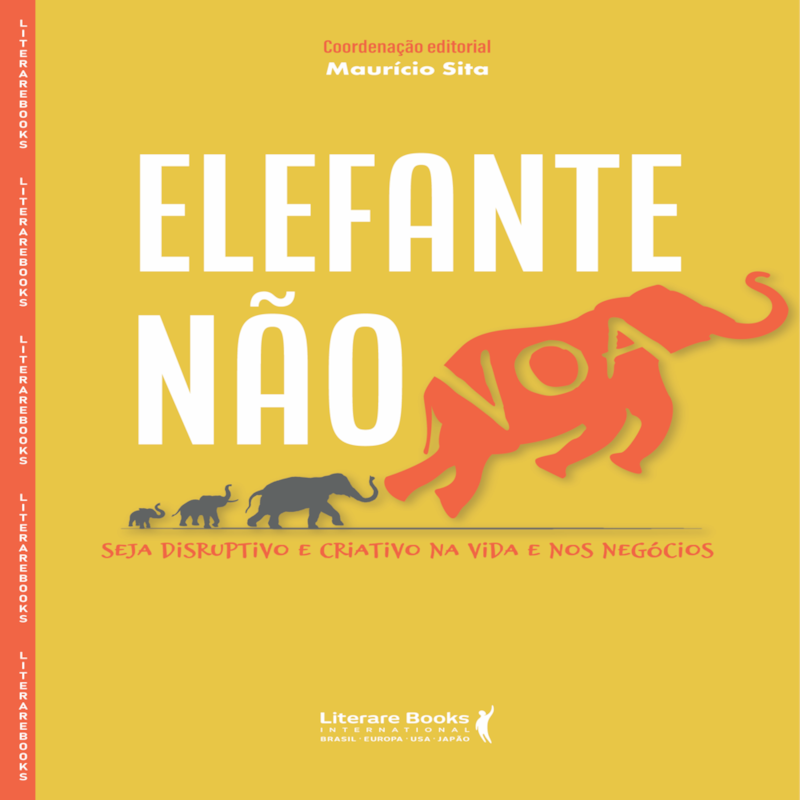 ELEFANTE NÃO VOA - SEJA DISRUPTIVO E CRIATIVO NA VIDA E NOS NEGÓCIOS