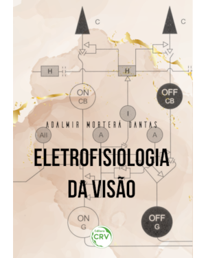 ELETROFISIOLOGIA DA VISÃO