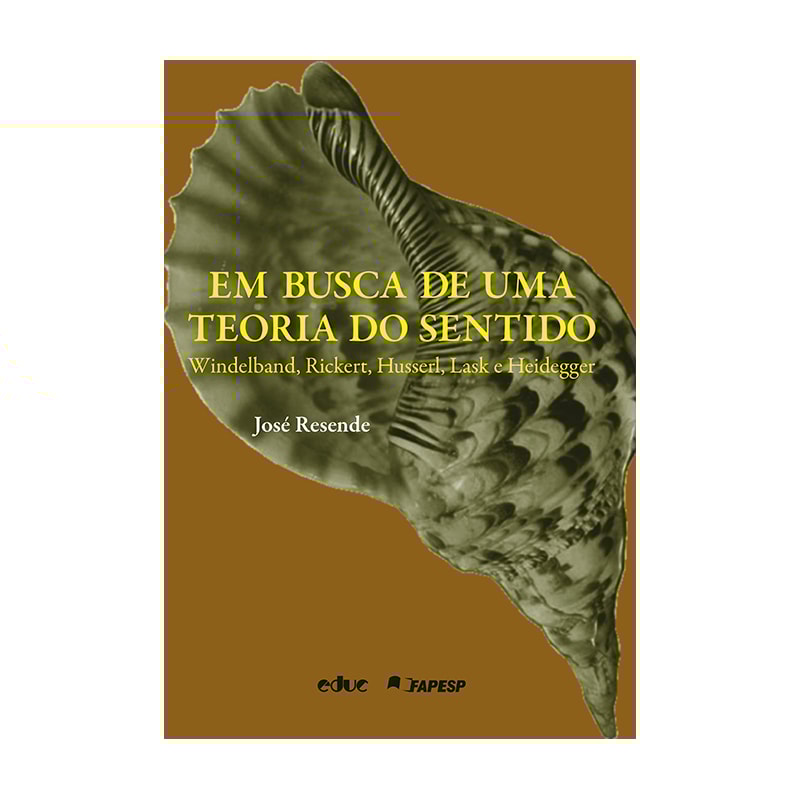 EM BUSCA DE UMA TEORIA DO SENTIDO