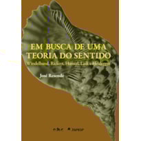 EM BUSCA DE UMA TEORIA DO SENTIDO EM BUSCA DE UMA TEORIA DO SENTIDO
