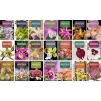 ENCICLOPÉDIA DAS ORQUÍDEAS (COLEÇÃO - 21 VOLUMES)