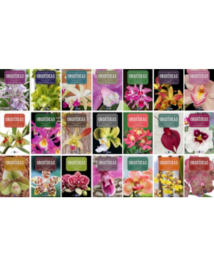 ENCICLOPÉDIA DAS ORQUÍDEAS (COLEÇÃO - 21 VOLUMES)
