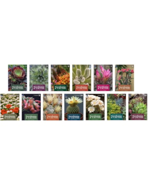 ENCICLOPÉDIA DE SUCULENTAS & CACTOS (COLEÇÃO - 13 VOLUMES)
