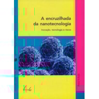 ENCRUZILHADA DA NANOTECNOLOGIA, A