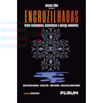 Encruzilhadas: tecno-oligarquias, democracia e ameaça ambiental