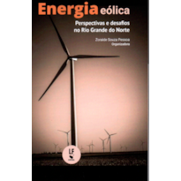 ENERGIA EÓLICA: PERSPECTIVAS E DESAFIOS NO RIO GRANDE DO NORTE