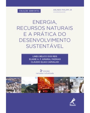 Energia, recursos naturais e a prática do desenvolvimento sustentável