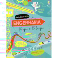 ENGENHARIA: RISQUE E RABISQUE