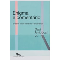 Enigma e comentário (nova edição): ensaios sobre literatura e experiência
