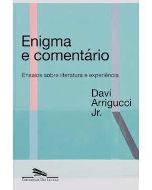 Enigma e comentário (nova edição): ensaios sobre literatura e experiência