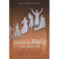 ENIGMAS DA BIBLIA - NOVO TESTAMENTO