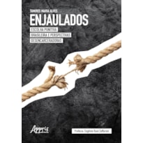 ENJAULADOS: ESCOLHA PUNITIVA BRASILEIRA E PERSPECTIVAS DESENCARCERADORAS