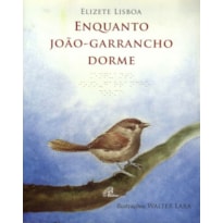 ENQUANTO JOÃO GARRANCHO DORME - COM BRAILE