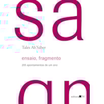 ENSAIO, FRAGMENTO: 205 APONTAMENTOS DE UM ANO