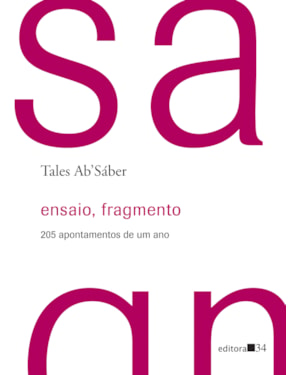 Ensaio, fragmento: 205 apontamentos de um ano