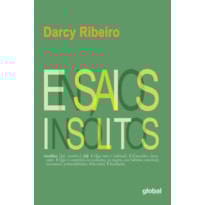 ENSAIOS INSÓLITOS