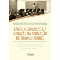 ENTRE A EXPANSÃO E A NEGAÇÃO DA FORMAÇÃO DE TRABALHADORES: A REDE E-TEC BRASIL E A OFERTA DE EDUCAÇÃO PROFISSIONAL E TECNOLÓGICA EM CURSOS A DISTÂNCIA